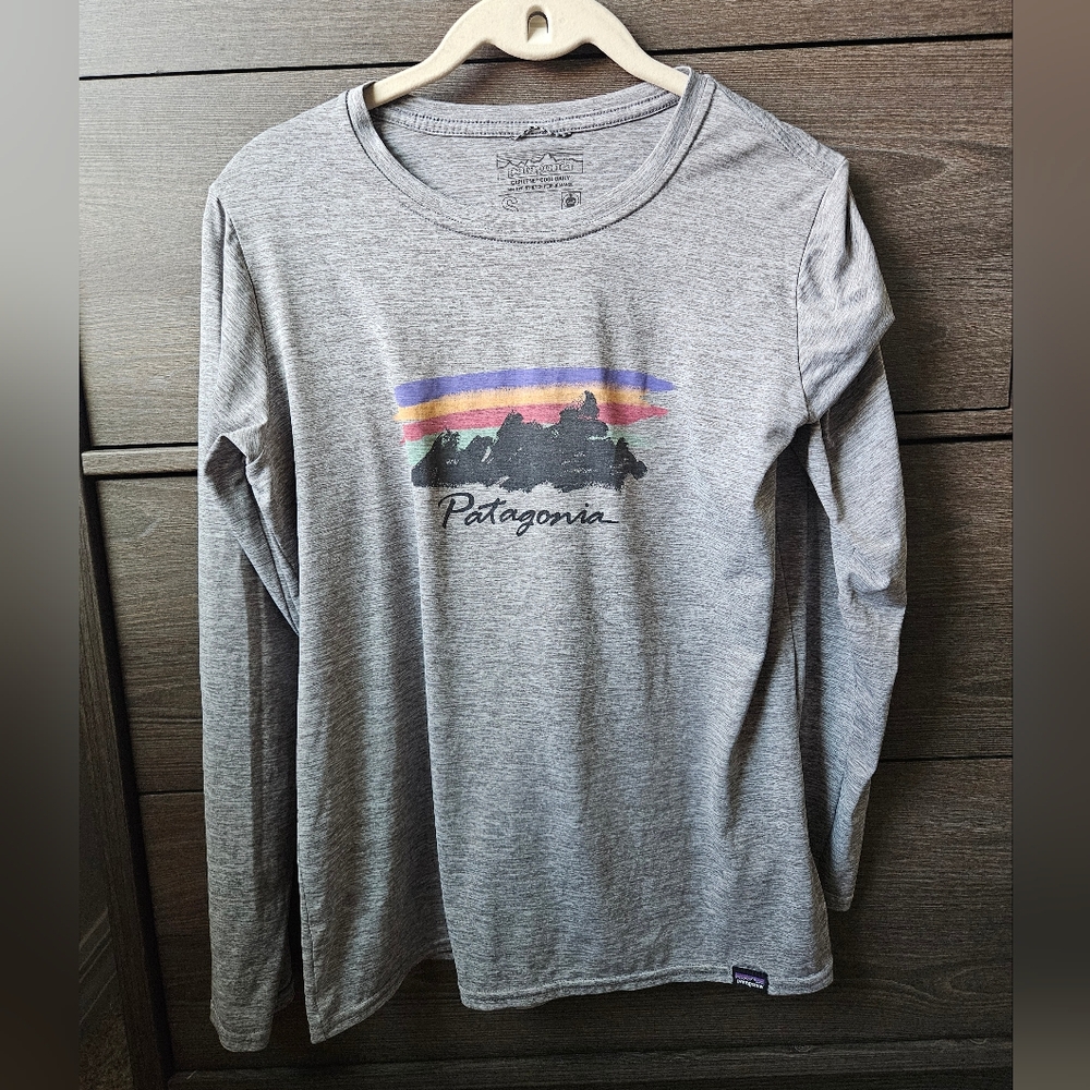 Patagonia Long Sleeve Graphic Tee in Heather Gray
